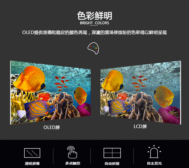 oled顯示